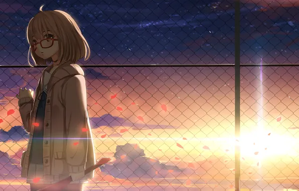 The sky, girl, the sun, clouds, light, sunset, the fence, anime