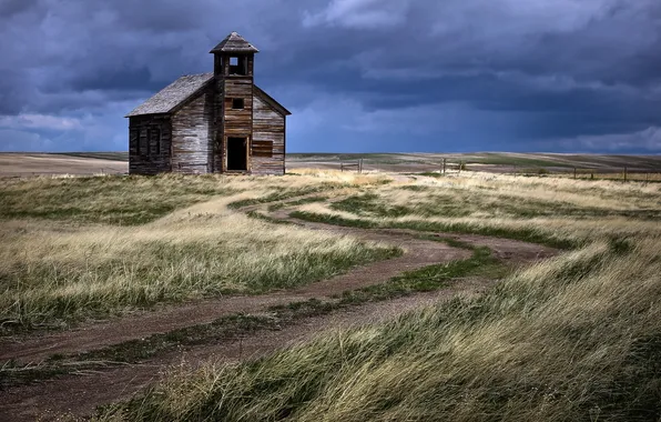 Field, landscape, home