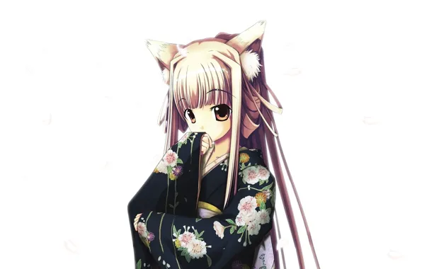 Girl, white background, kimono, bangs, big eyes, cherry blossoms, fox girl, long white hair