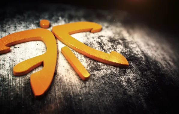 Csgo, fnatic, esports, organization