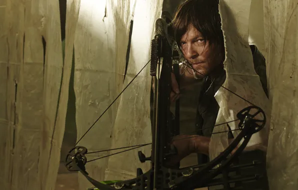 Picture The Walking Dead, Norman Reedus, Daryl Dixon, The Walking Dead
