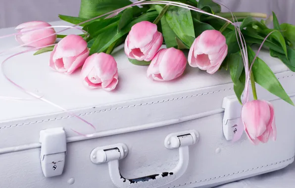 Wallpaper bouquet, white, Stolyevych Yulia, tulips, suitcase, pink