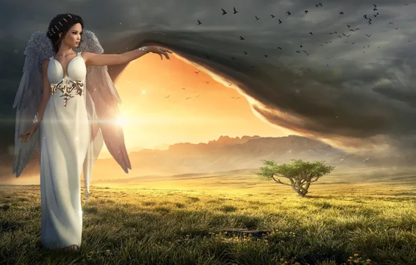 Wallpaper the sky, look, girl, the sun, nature, bird, platee