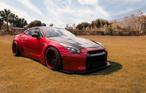 Picture nissan, GTR, red, Widebody