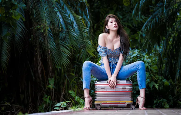 Picture greens, foliage, jeans, neckline, suitcase, Asian, long hair, long hair