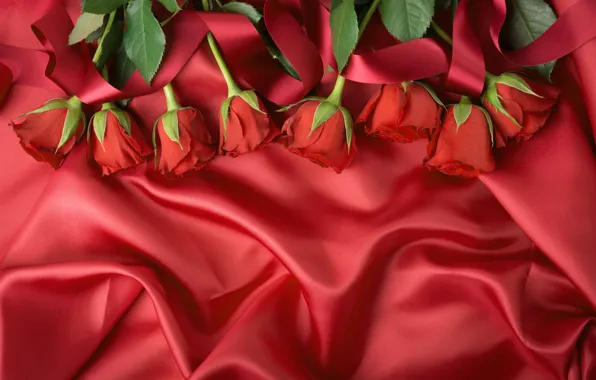Buds, Fabric, Roses, Red roses