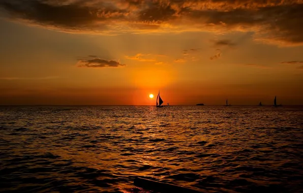 Picture sunset, the ocean, sport, the evening, yacht, sail