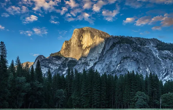 Forest, the sky, mountains