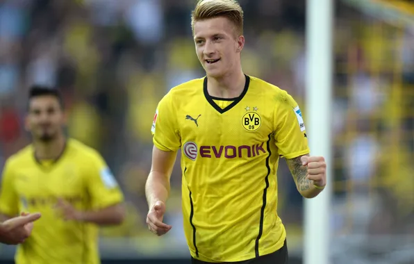 Picture Sport, Football, player, Woody, Borussia Dortmund, Borussia Dortmund, Ball Play Association Borussia, Voody. Germany