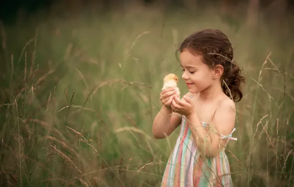 Child, girl, chicken