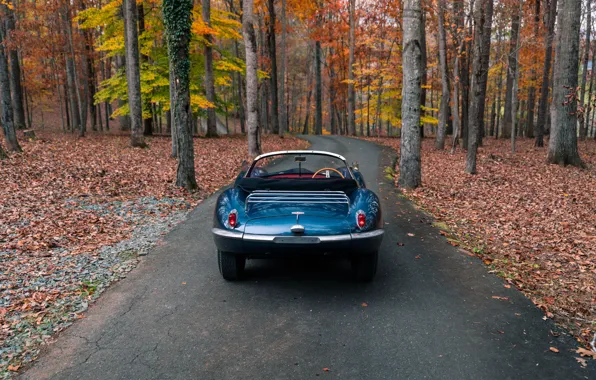 Jaguar, rear, 1957, XKSS, Jaguar XKSS