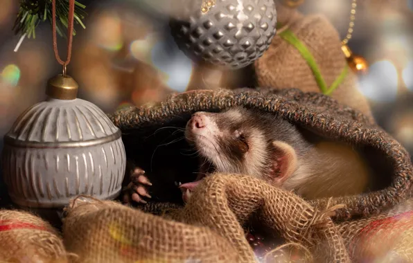 Holiday, balls, new year, portrait, legs, blur, mouth, tree