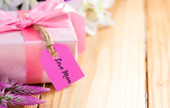 Holiday, bow, Gift