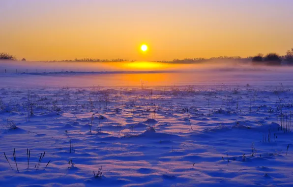 Picture FOREST, HORIZON, The SKY, FIELD, SNOW, WINTER, SUNSET, DAWN