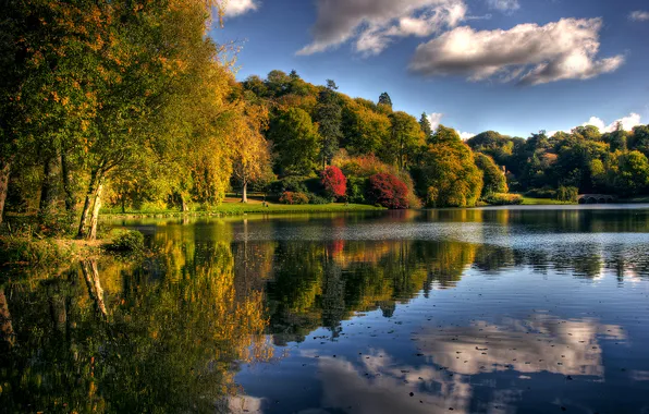 Autumn, nature, lake
