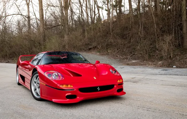 Red, Spoiler, F50