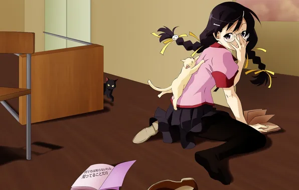 Picture anime, pussy, girl, neko, Bakemonogatari, History of monsters