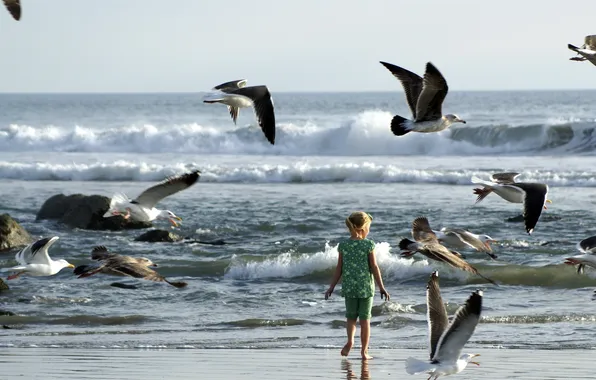 Picture sea, bird, girl
