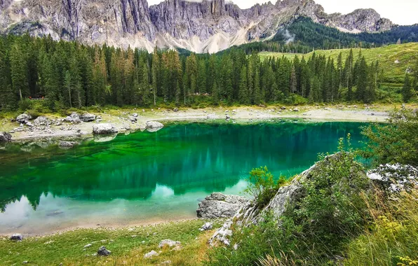 Forest, mountains, lake, shore, Alps, lake Carezza