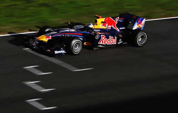 Picture Red Bull, Vettel, RB6