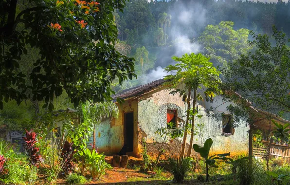 Picture house, village, jungle, hdr, HOUSE, COUNTRY