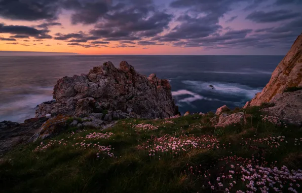 Sea, wave, grass, clouds, landscape, sunset, flowers, stones