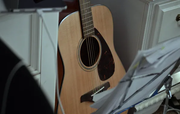 Notes, music, guitar, chest, musical instrument, bokeh