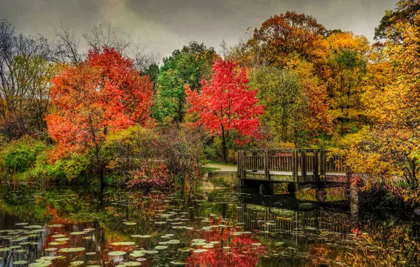 Picture autumn, trees, bridge, nature, Park, river, photo