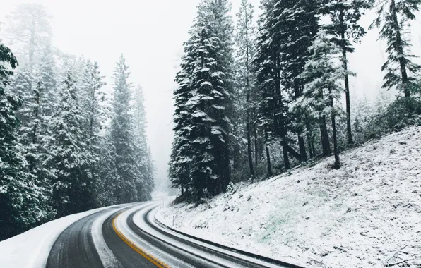 Winter, road, forest, snow, nature
