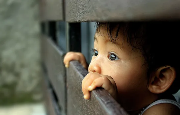 Look, children, surprise