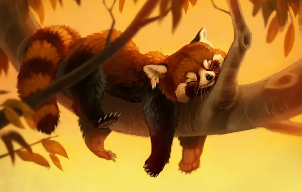Branches, nature, tree, animal, red Panda, illustration, digital art, Amelia Bothe