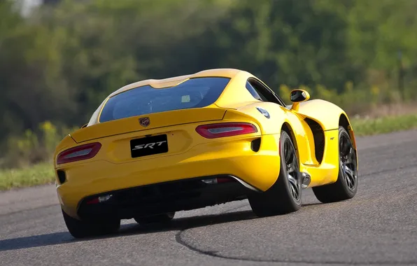 Background, Dodge, Dodge, supercar, Viper, rear view, racing track, GTS