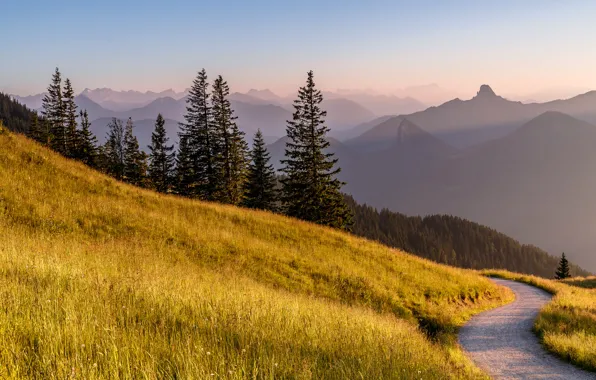 Road, grass, trees, mountains, Germany, Bayern, Alps, meadow