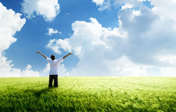 Wheat, field, the sky, freedom, the wind, blue, mood, horizon