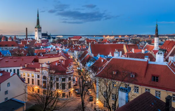 Street, home, roof, Tallinn, panorama, tower