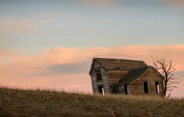 Picture field, the sky, home, the evening