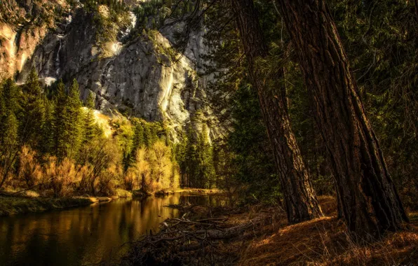 Water, trees, mountains, rocks, treatment, CA, USA, Yosemite national Park