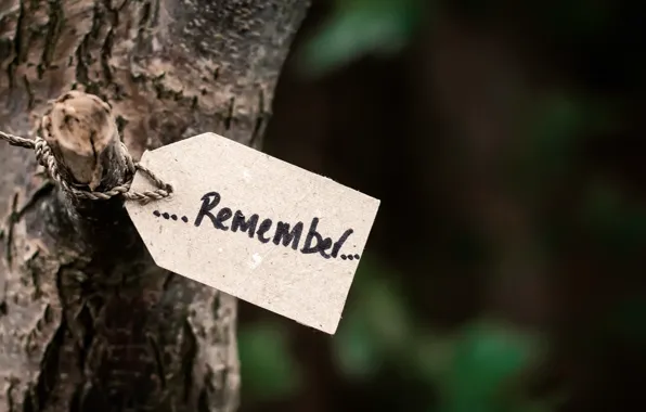 Tree, rope, trunk, note, reminder, the word, remember