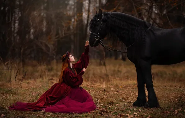 Autumn, forest, girl, nature, pose, style, horse, horse