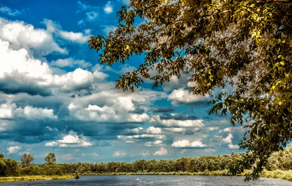 Picture autumn, the sky, clouds, trees, river