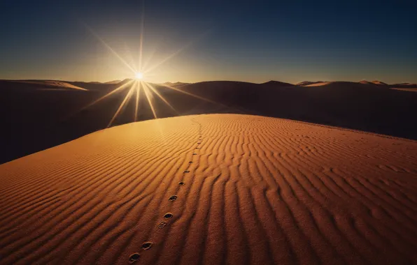 The sun, desert, dunes, Sands