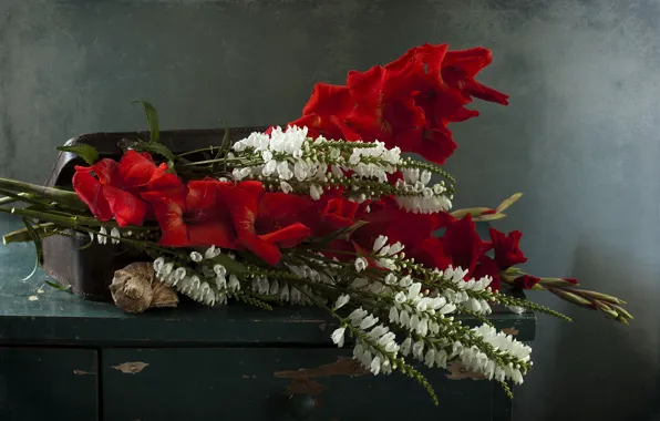 Flowers, bouquet, bag, gladiolus