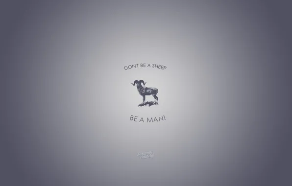 Picture grey, animal, RAM, dont