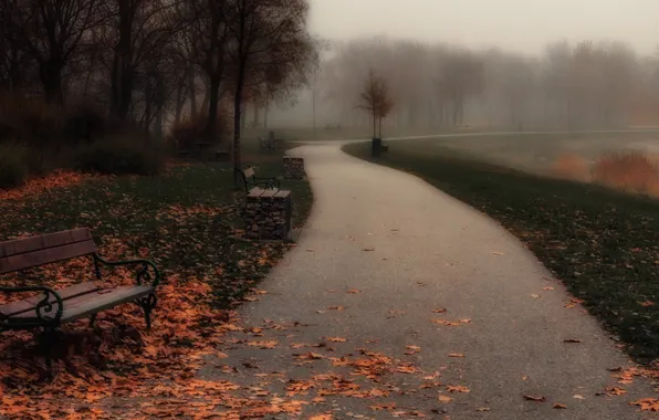 Picture autumn, fog, Park, bench