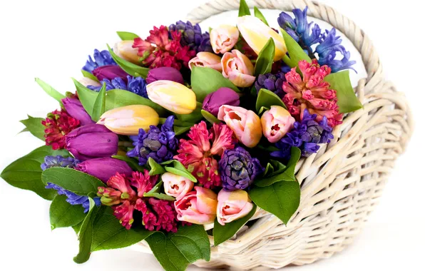 Picture leaves, flowers, basket, bouquet, tulips, buds