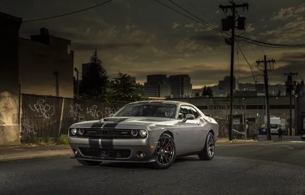 Picture Dodge, Challenger, street, 392, SRT, 2015