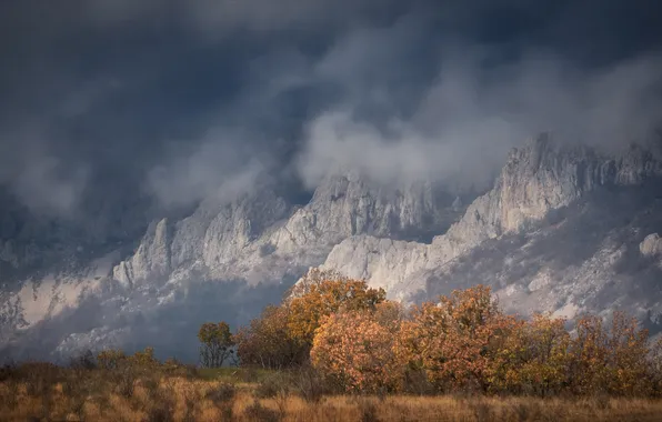 Field, autumn, forest, clouds, snow, trees, mountains, fog