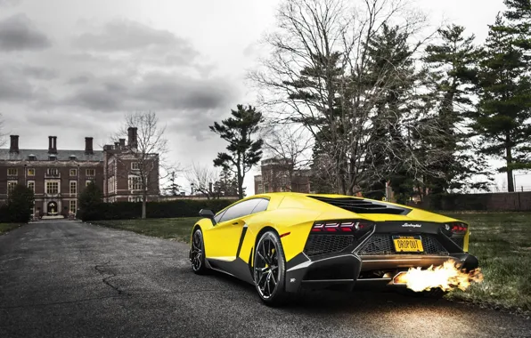 Lamborghini, Fire, Yellow, Aventador, Supercar, LP720-4, 50 Anniversario Edition