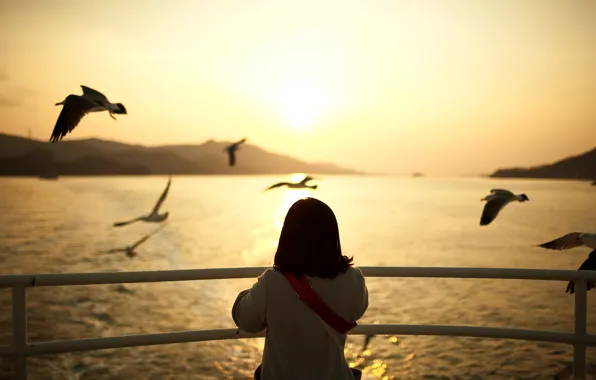 Picture water, sunset, birds, mood, seagulls, the evening, girl, mood