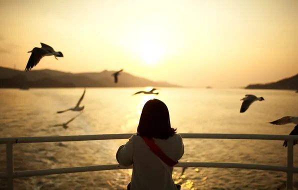 Water, sunset, birds, mood, seagulls, the evening, girl, mood